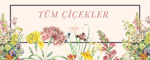 cicekler.png