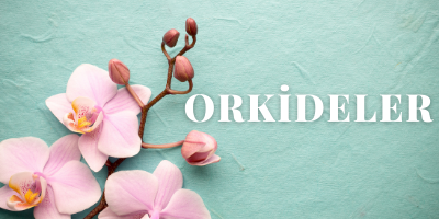 İkinci Yan Banner Resmi
